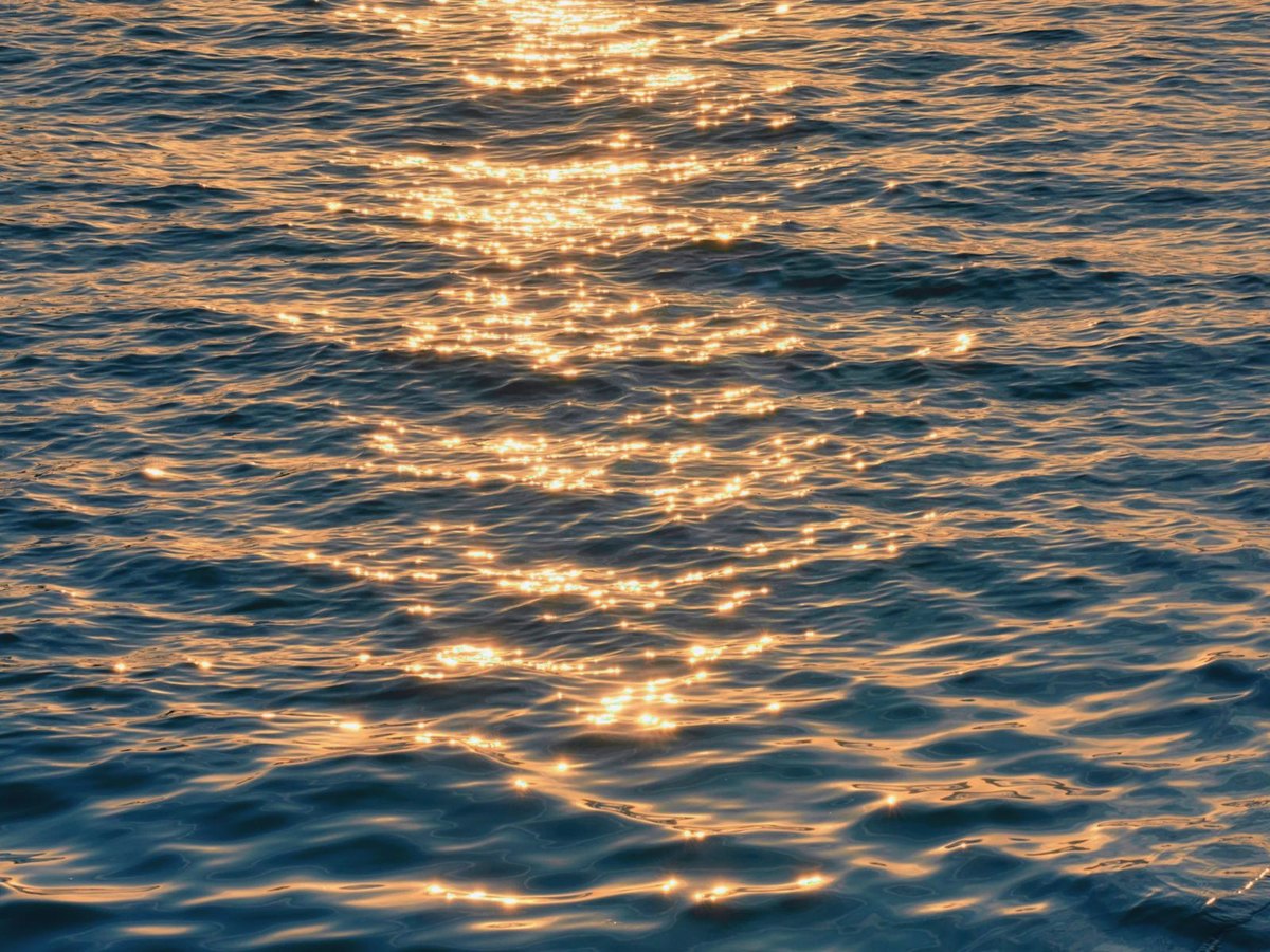 Soleil doré qui scintille sur l'eau