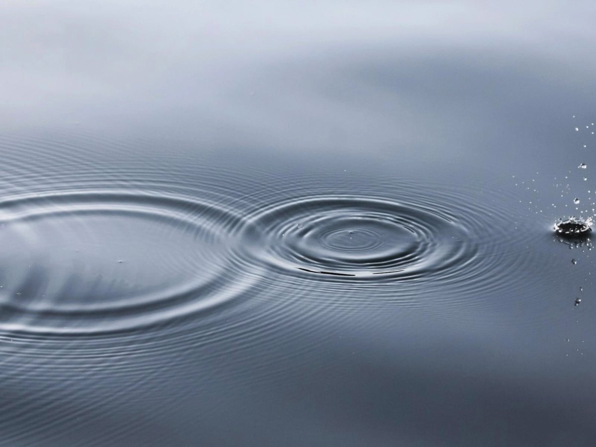 Ondes concentriques sur une eau lisse