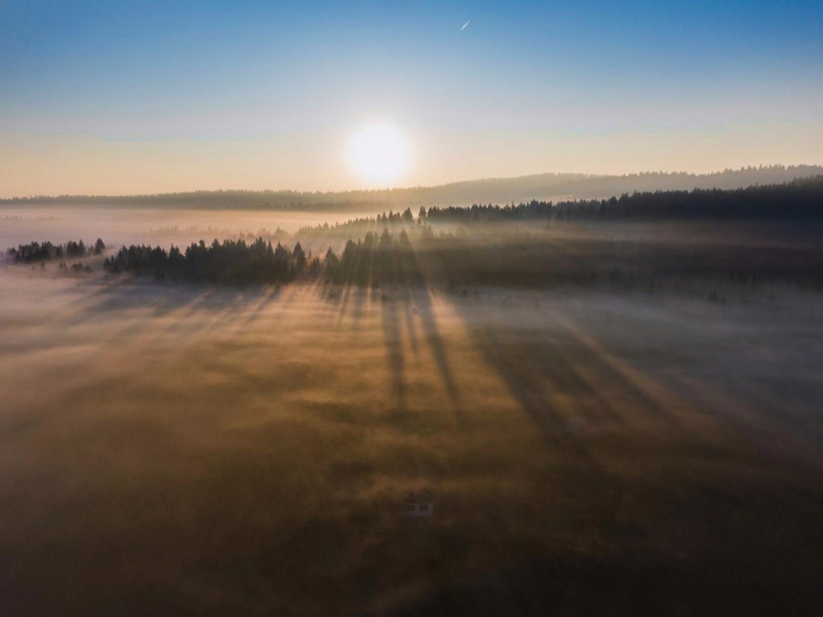 Soleil levant sur une vallée embrumée