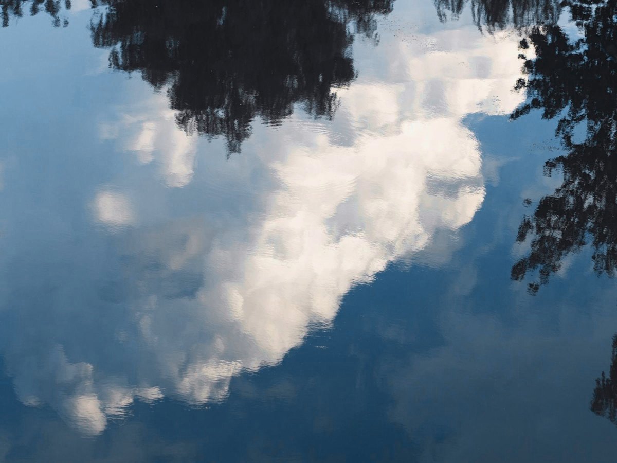 Le ciel et les arbres reflétés dans une eau calme, comme un monde à l'envers